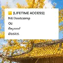 [LIFETIME ACCESS] Go Beyond Basics - N4 Bootcamp