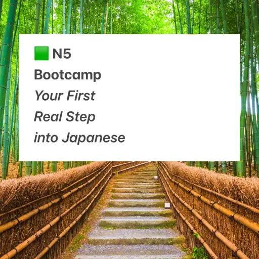 Your First Real Step into Japanese - N5 Bootcamp